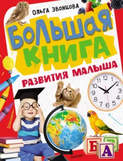 Большая книга развития малыша Ольга Звонцова