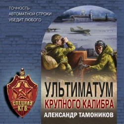 Ультиматум крупного калибра, Александр Тамоников