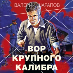 Вор крупного калибра, Валерий Шарапов