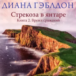 Стрекоза в янтаре. Книга 2. Время сражений, Диана Гэблдон