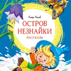 Остров Незнайки. Рассказы Игорь Носов