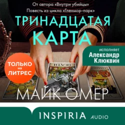 Тринадцатая карта, Майк Омер