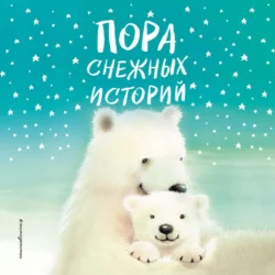 Пора снежных историй, Холли Вебб