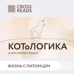 Саммари книги «КОТоЛОГИКА. О чем молчит кошка», Коллектив авторов