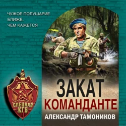 Закат команданте, Александр Тамоников