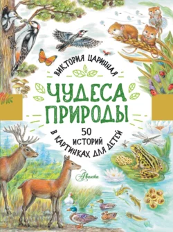 Чудеса природы. 50 историй в картинках для детей Виктория Царинная