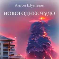 Новогоднее чудо, Антон Шумилов