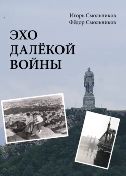 Эхо далекой войны, Игорь Смольников