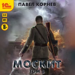 Москит. Том 1, Павел Корнев