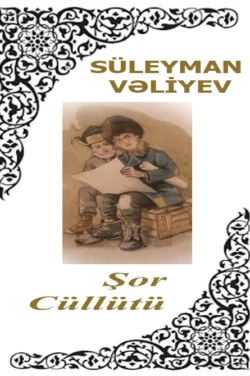 Şor cüllütü, Süleyman Vəliyev