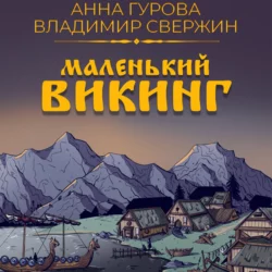 Маленький викинг, Владимир Свержин