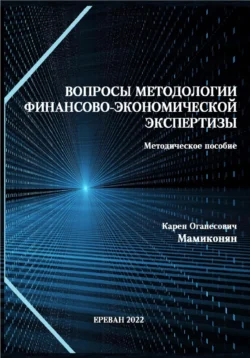 Вопросы методологии финансово-экономической экспертизы: Методическое пособие, Карен Мамиконян