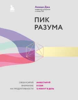 Пик разума. Сфокусируй внимание на продуктивности. Инвестируй в себя 12 минут в день, Амиши Джа