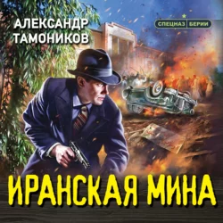 Иранская мина, Александр Тамоников