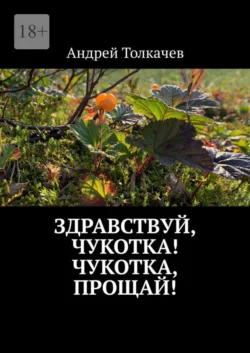 Здравствуй, Чукотка! Чукотка, прощай!, Андрей Толкачев