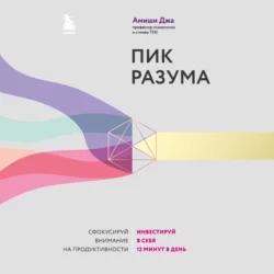 Пик разума. Сфокусируй внимание на продуктивности. Инвестируй в себя 12 минут в день, Амиши Джа