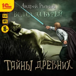 Вслед за бурей. Тайны древних, Андрей Рымин