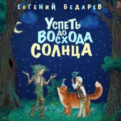 Успеть до восхода солнца, Евгений Бедарев