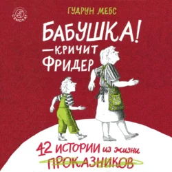 Бабушка! – кричит Фридер. 42 истории из жизни проказников, Гудрун Мебс