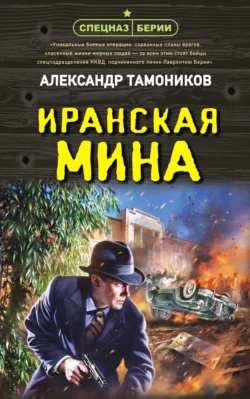 Иранская мина, Александр Тамоников