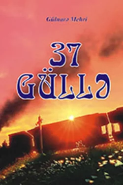 37 güllə, Gülnarə Mehri