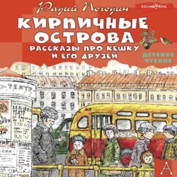 Кирпичные острова. Рассказы про Кешку и его друзей, Радий Погодин