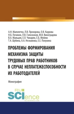 Проблемы формирования механизма защиты трудовых прав работников в случае неплатежеспособности их работодателей. (Адъюнктура, Аспирантура, Бакалавриат, Магистратура). Монография., Ольга Каурова