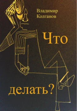 Что делать?, Владимир Колганов