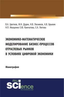 Экономико-математическое моделирование бизнес-процессов отраслевых рынков в условиях цифровой экономики. (Аспирантура, Бакалавриат, Магистратура). Монография., Михаил Дудин