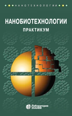 Нанобиотехнологии. Практикум, Андрей Рубин