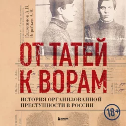 От татей к ворам. История организованной преступности в России, Александр Воробьев