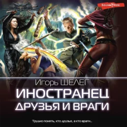 Иностранец. Друзья и враги, Игорь Шелег