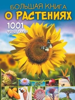 Большая книга о растениях. 1001 фотография, Анна Спектор