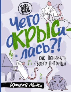 Чего окрысилась?! Как понимать своего питомца, Иришка МиМи