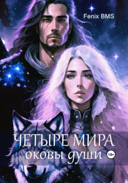 Четыре мира. Оковы души, BMS Fenix