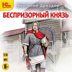 Беспризорный князь, Анатолий Дроздов