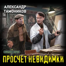 Просчет невидимки, Александр Тамоников