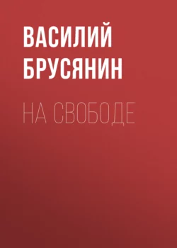 На свободе Василий Брусянин