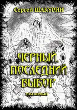 Черный. Последний выбор. Том первый, Сергей Шакурин