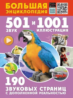 Большая энциклопедия. 501 звук и 1001 иллюстрация, Ирина Попова