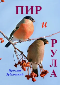 Пир и Рула, Ярослав Зубковский