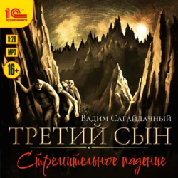 Третий сын. Стремительное падение, Вадим Сагайдачный