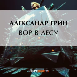 Вор в лесу, Александр Грин