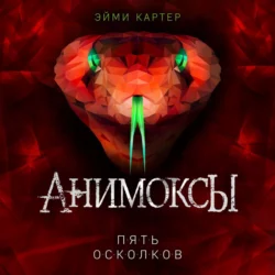 Пять Осколков, Эйми Картер