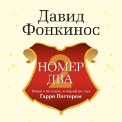 Номер Два. Роман о человеке, который не стал Гарри Поттером, Давид Фонкинос