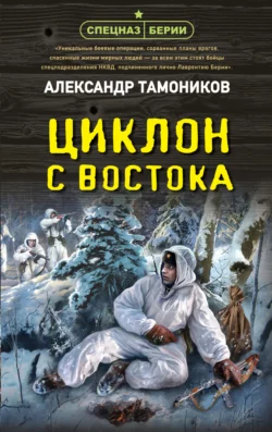 Циклон с востока, Александр Тамоников