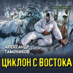 Циклон с востока, Александр Тамоников