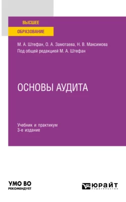 Основы аудита 3-е изд., пер. и доп. Учебник и практикум для вузов, Мария Штефан