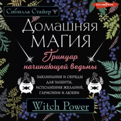 Домашняя магия. Гримуар начинающей ведьмы. Заклинания и обряды для защиты, исполнения желаний, гармонии и любви, Сибилла Стайер