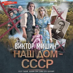 Наш дом – СССР, Виктор Мишин